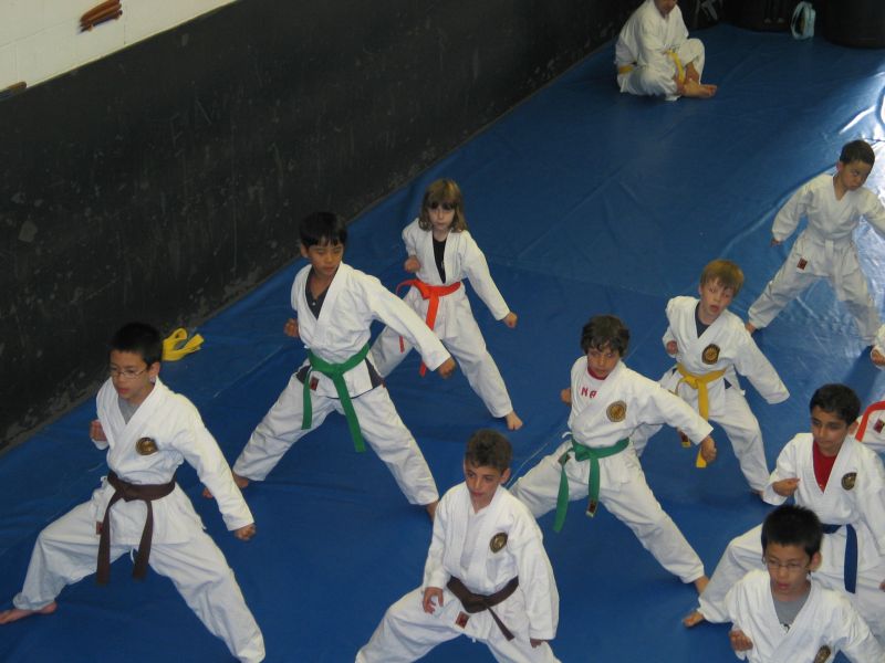 In dojo