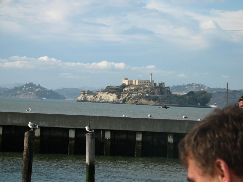 Alcatraz (cu pelican)